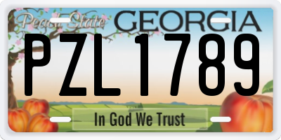 GA license plate PZL1789