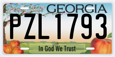 GA license plate PZL1793