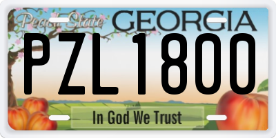 GA license plate PZL1800