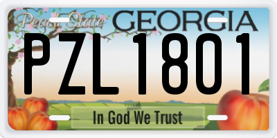 GA license plate PZL1801