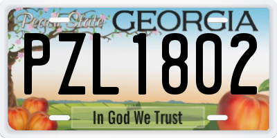 GA license plate PZL1802