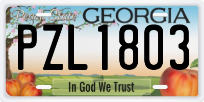 GA license plate PZL1803