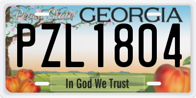 GA license plate PZL1804