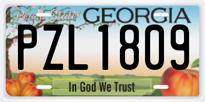 GA license plate PZL1809