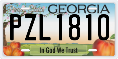 GA license plate PZL1810