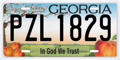 GA license plate PZL1829