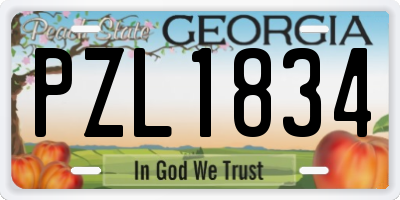 GA license plate PZL1834