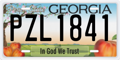 GA license plate PZL1841