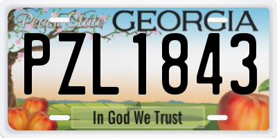 GA license plate PZL1843