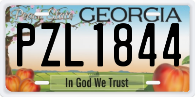 GA license plate PZL1844