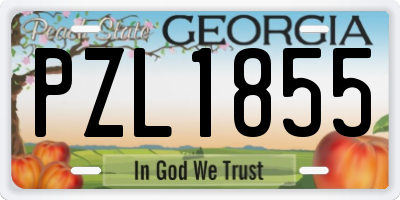 GA license plate PZL1855