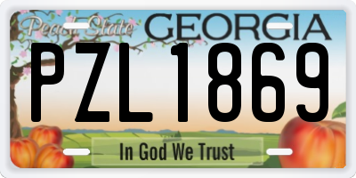 GA license plate PZL1869