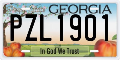 GA license plate PZL1901