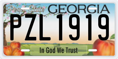 GA license plate PZL1919
