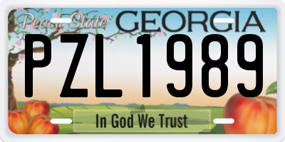 GA license plate PZL1989