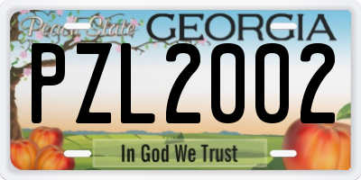 GA license plate PZL2002