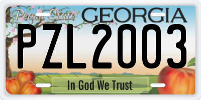 GA license plate PZL2003