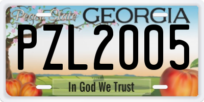 GA license plate PZL2005