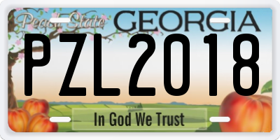 GA license plate PZL2018