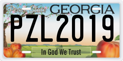 GA license plate PZL2019