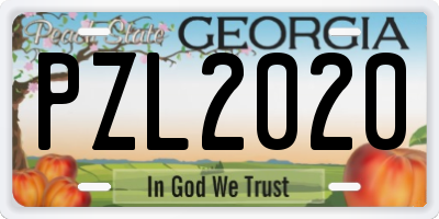 GA license plate PZL2020