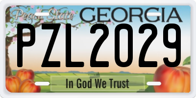 GA license plate PZL2029