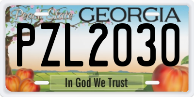 GA license plate PZL2030
