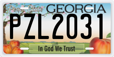 GA license plate PZL2031