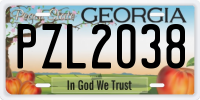 GA license plate PZL2038