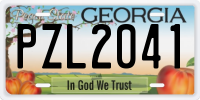 GA license plate PZL2041