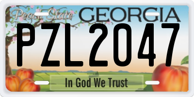 GA license plate PZL2047