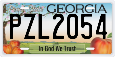 GA license plate PZL2054