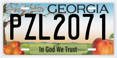 GA license plate PZL2071