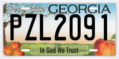 GA license plate PZL2091