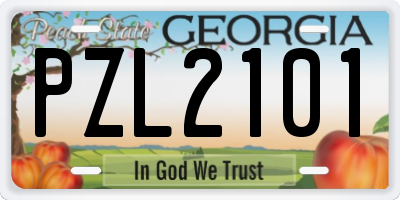 GA license plate PZL2101