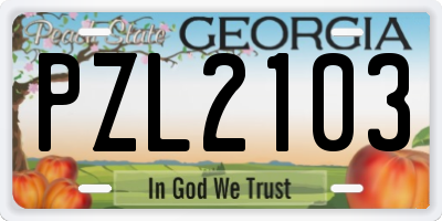 GA license plate PZL2103