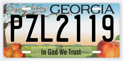GA license plate PZL2119