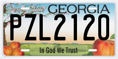 GA license plate PZL2120