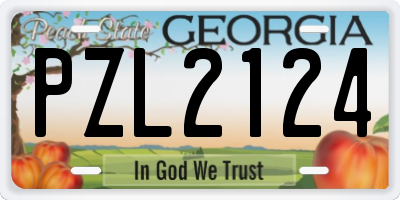 GA license plate PZL2124