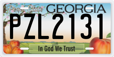 GA license plate PZL2131