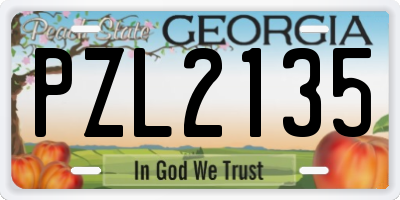 GA license plate PZL2135