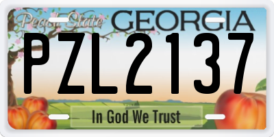 GA license plate PZL2137