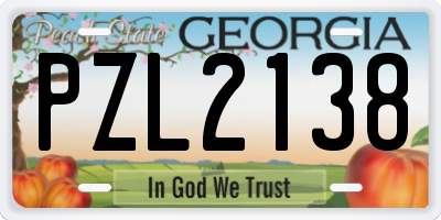 GA license plate PZL2138