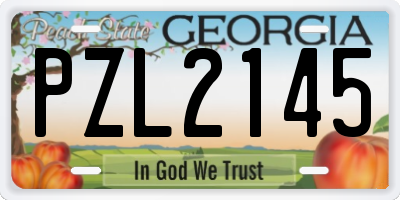 GA license plate PZL2145