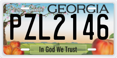 GA license plate PZL2146