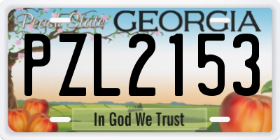 GA license plate PZL2153