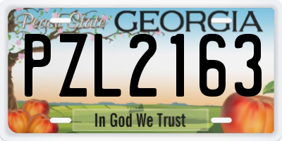 GA license plate PZL2163