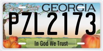 GA license plate PZL2173
