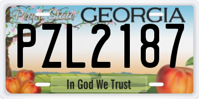 GA license plate PZL2187