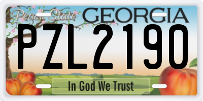 GA license plate PZL2190